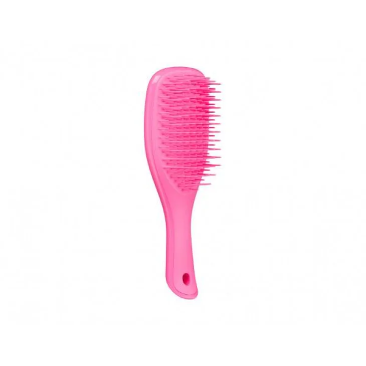 Tangle Teezer The Wet Detangler Hairbrush Mini Pink Sherbert Tangle Teezer The Wet Detangler Hairbrush Mini Pink Sherbert