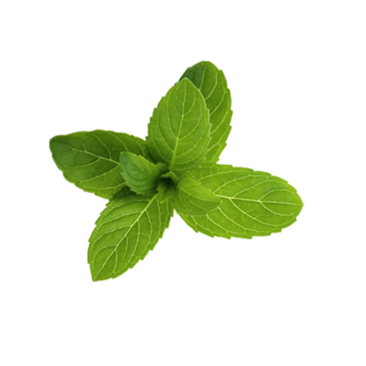 Klorane Maschera Stick alla Menta BIO e all'Argilla 25 gr Klorane Maschera Stick alla Menta BIO e all'Argilla 25 gr