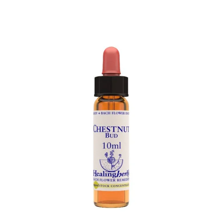 Healing Herbs Fiori di Bach Chestnut Bud 10 Ml 1 Pezzo Healing Herbs Fiori di Bach Chestnut Bud 10 Ml 1 Pezzo