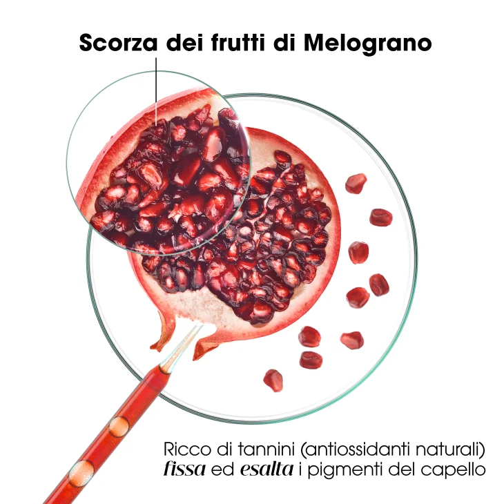 Klorane Shampo Al Melograno Luminosit&agrave; Capelli Colorati 200 ml