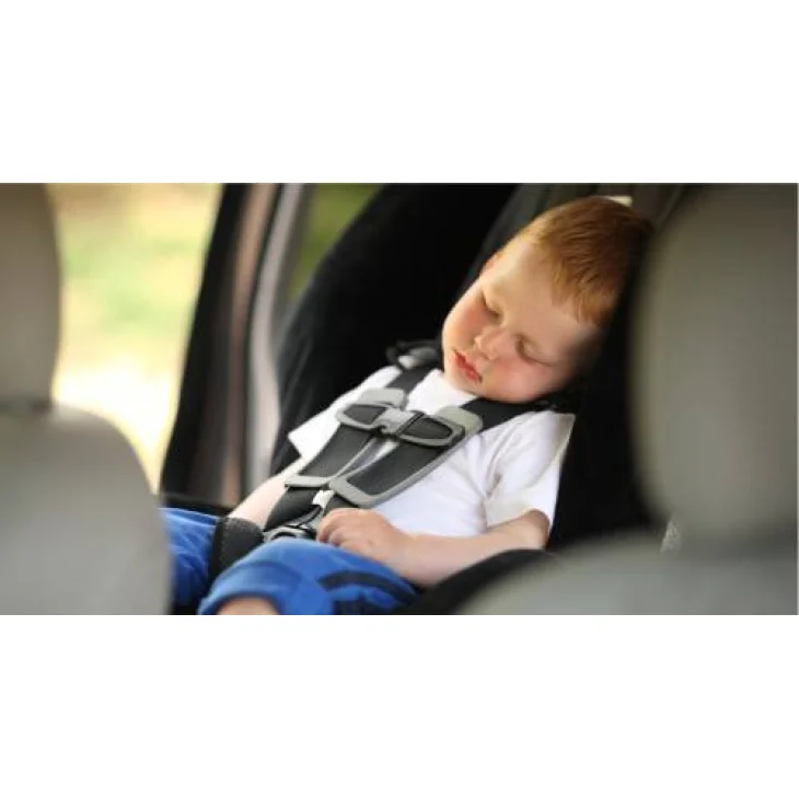 Remmy Car Baby Alert Segnala Beb&egrave; in Auto - Standard Doppio