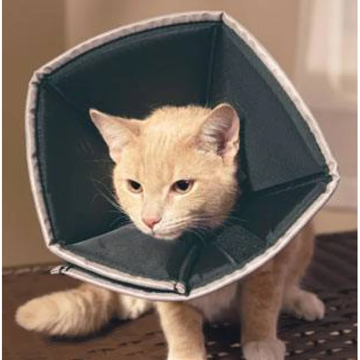 Candioli Comfy Cone Collare elisabettiano per cani e gatti XL 1 pezzo Candioli Comfy Cone Collare elisabettiano per cani e gatti XL 1 pezzo