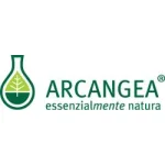 Arcangea