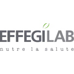 Effegilab