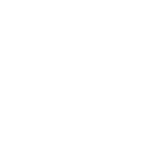 Aneid Italia