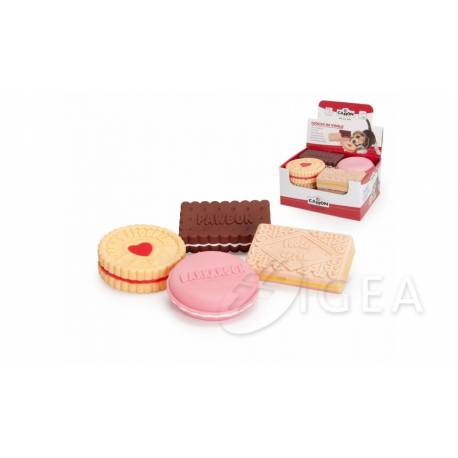 camon biscotti cani