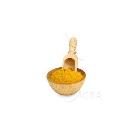 curcuma polvere
