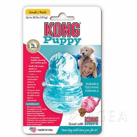 kong puppy